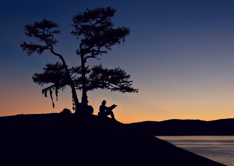 байкал, ольхон, бурхан, озеро, дерево, закат Вечерняя пресса фото превью