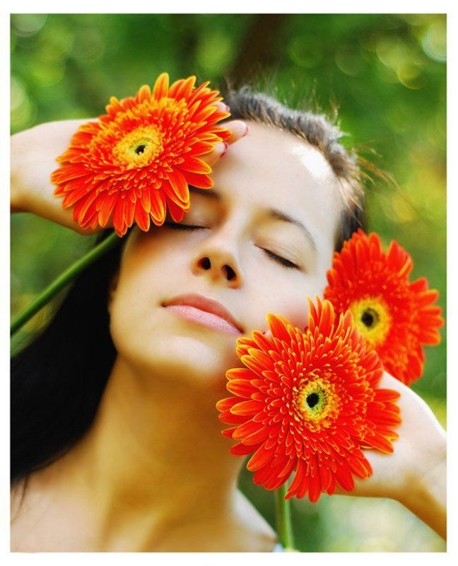 герберы, осень, тепло нежное прикосновение осени..... фото превью