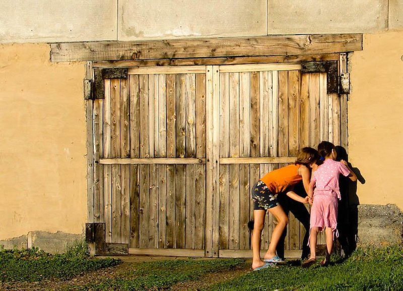 дети, прятки Шпионки фото превью