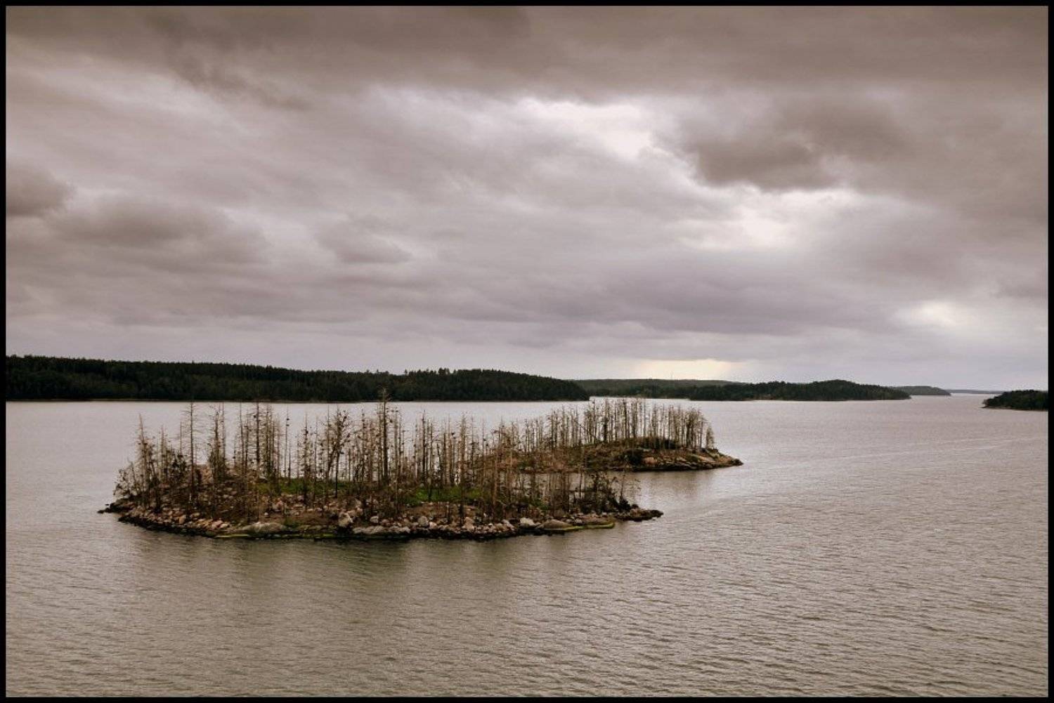 , Cairns (Павел Васильев)