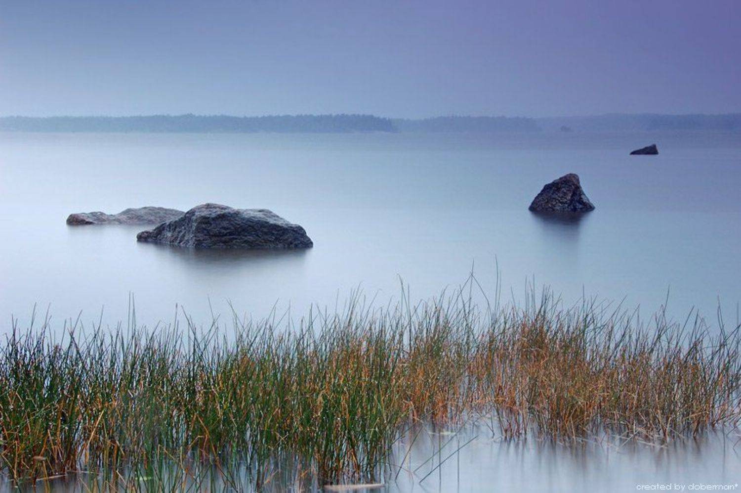 , Денис Богомолов