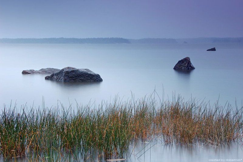 Фиолетовая безмятежность фото превью