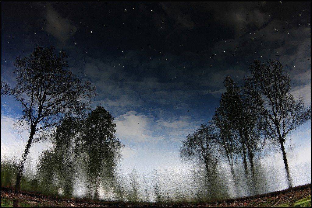 , Андрей Кузьмин