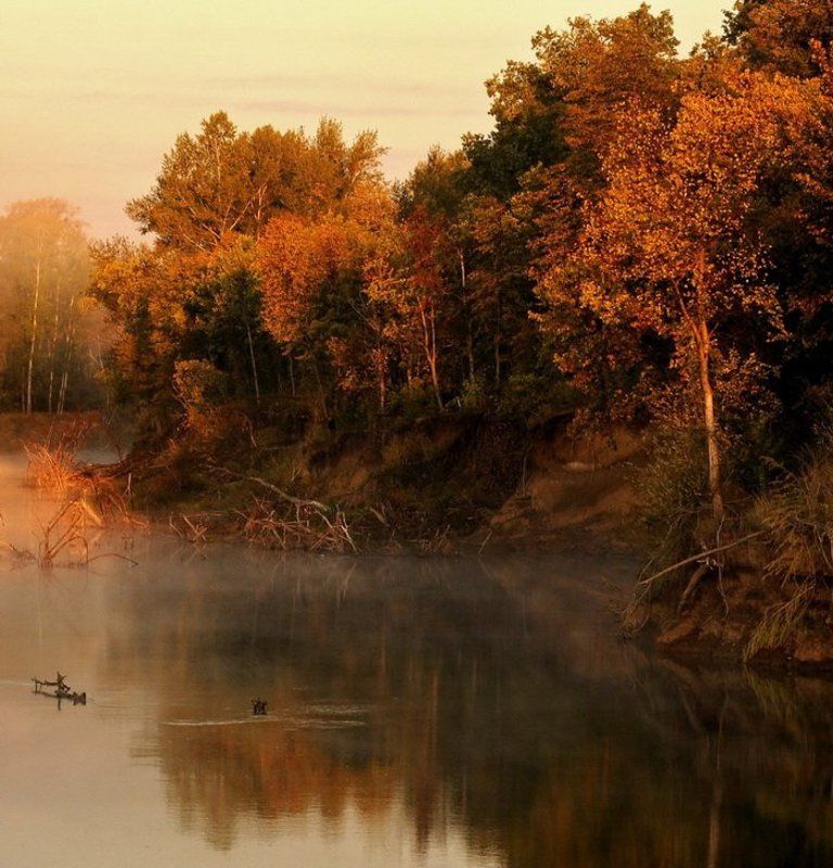 осенняя фото превью
