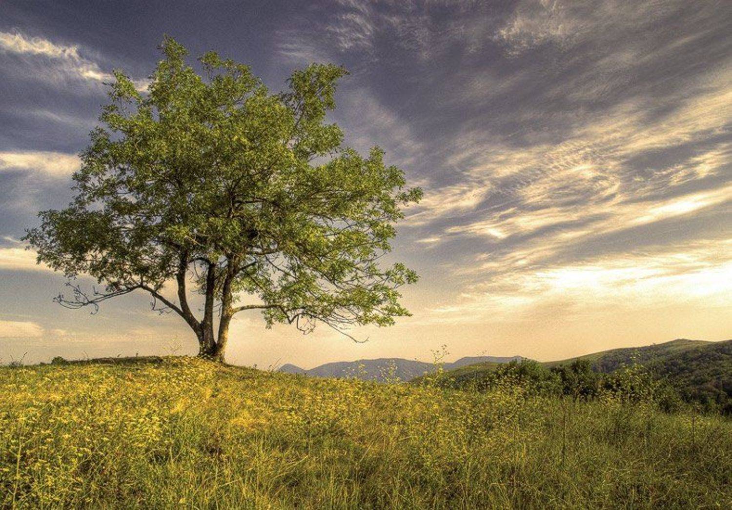 , Екатерина (PhotoJourneys.ru) Васягина