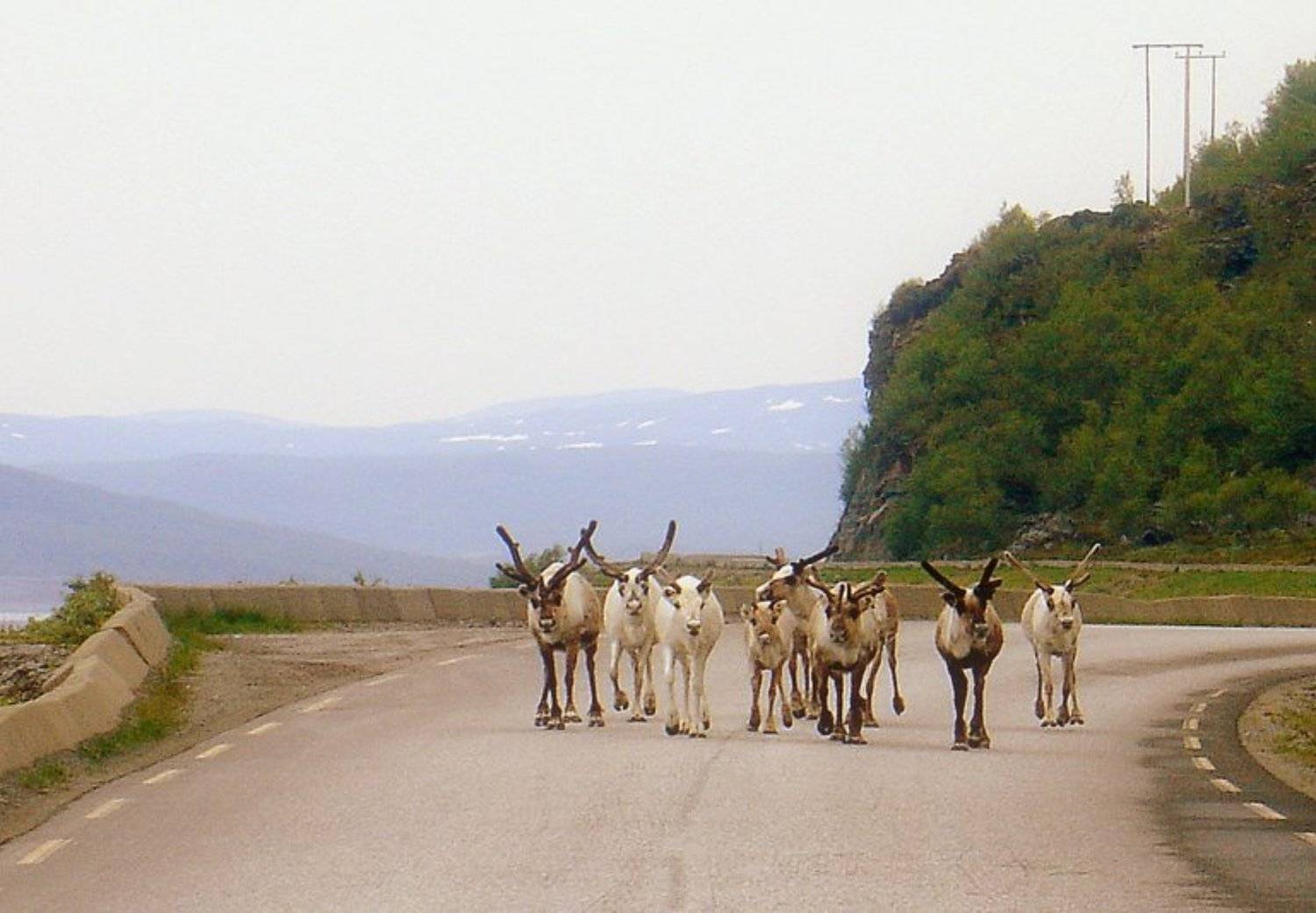 дорога,путешествие,норвегия,, Liz