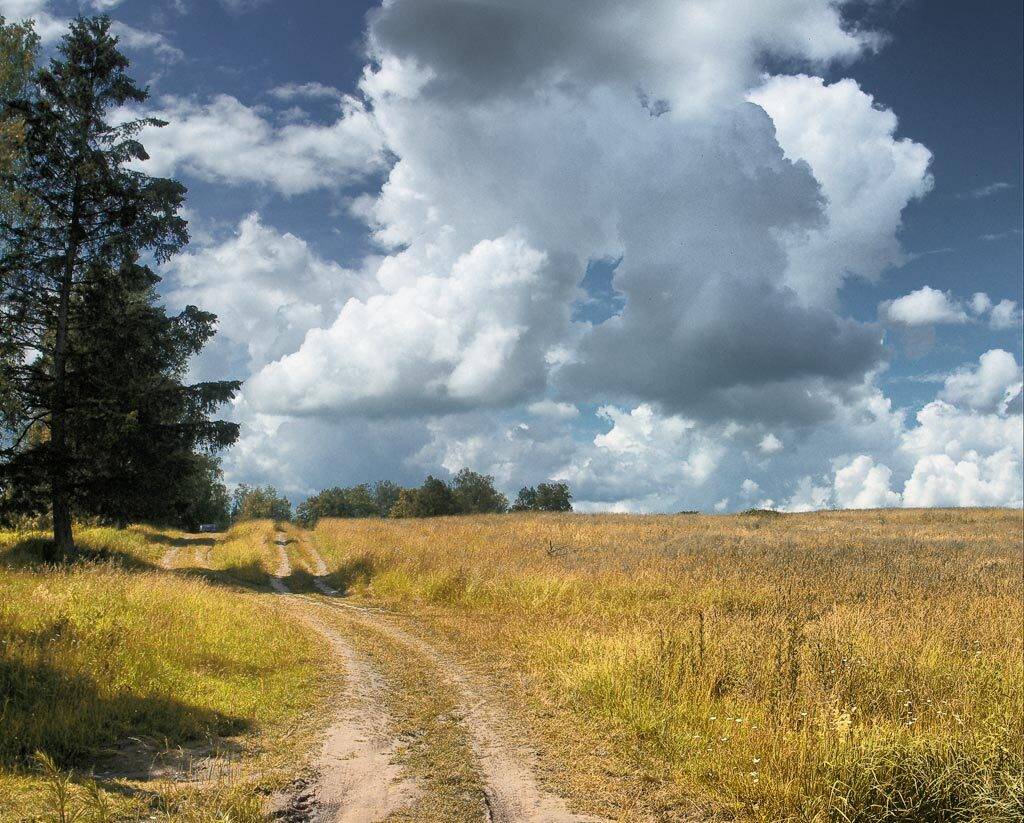 , Наталья Захарова