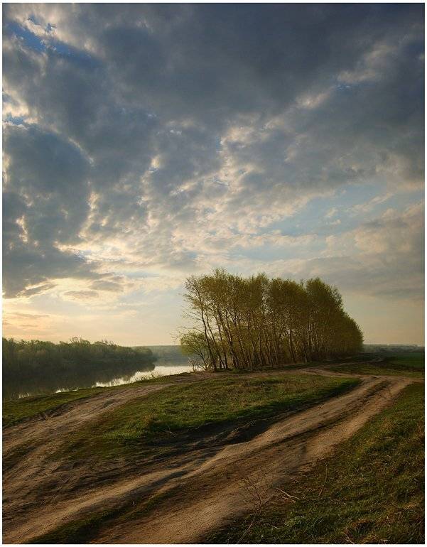 дон, Sergey Polukarov