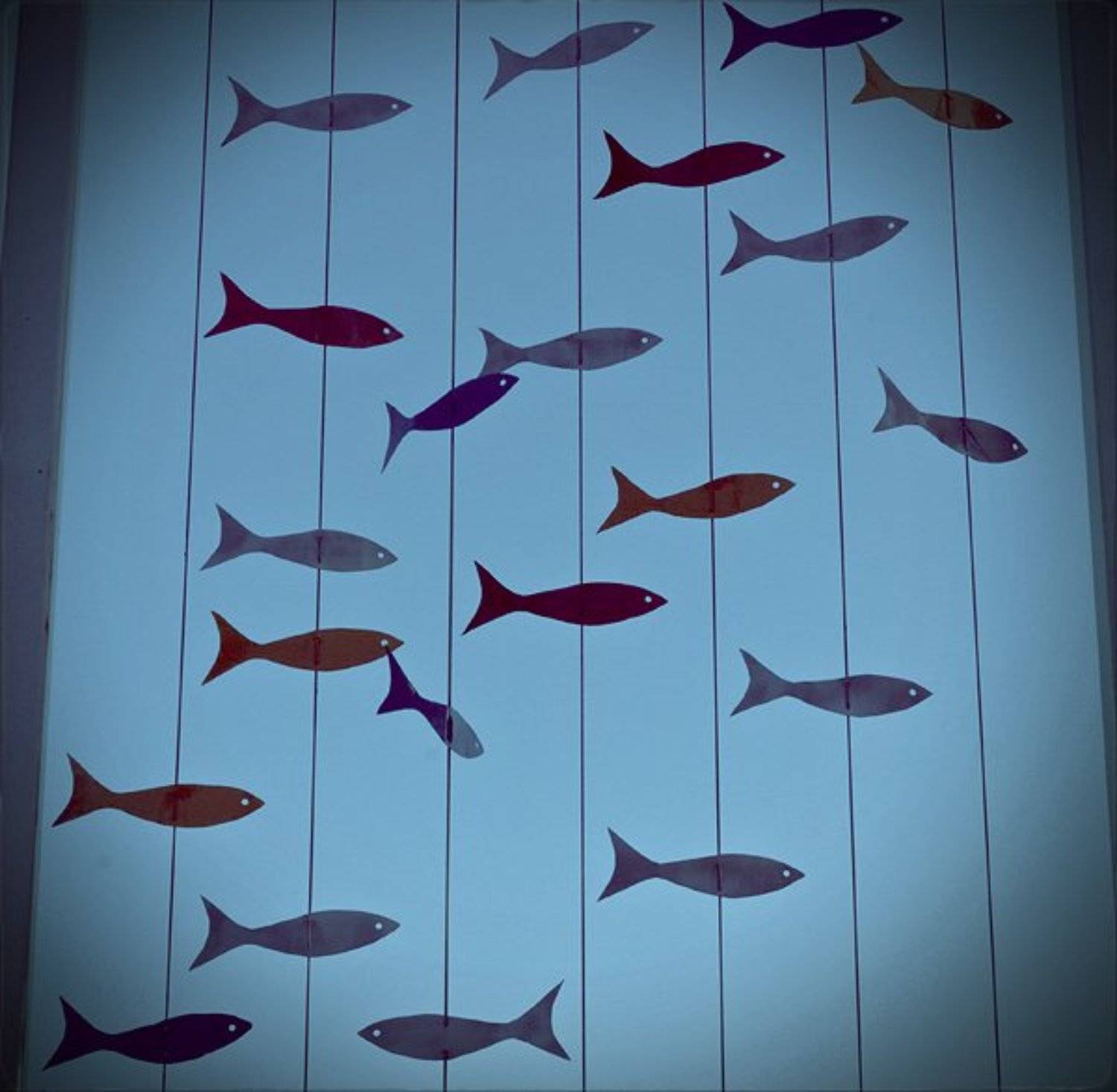 6х6, море, рыбы, сны, Яна Денисенко