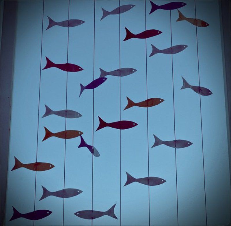 6х6, море, рыбы, сны  фото превью