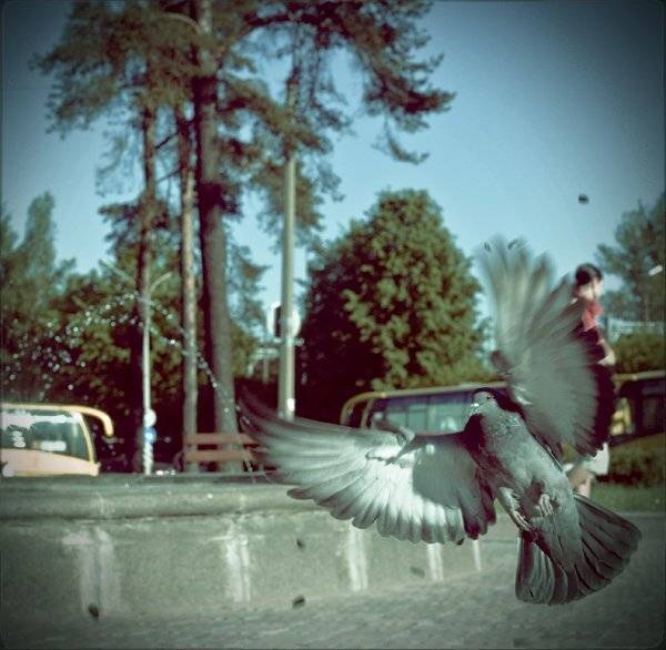 6х6, сны, Яна Денисенко