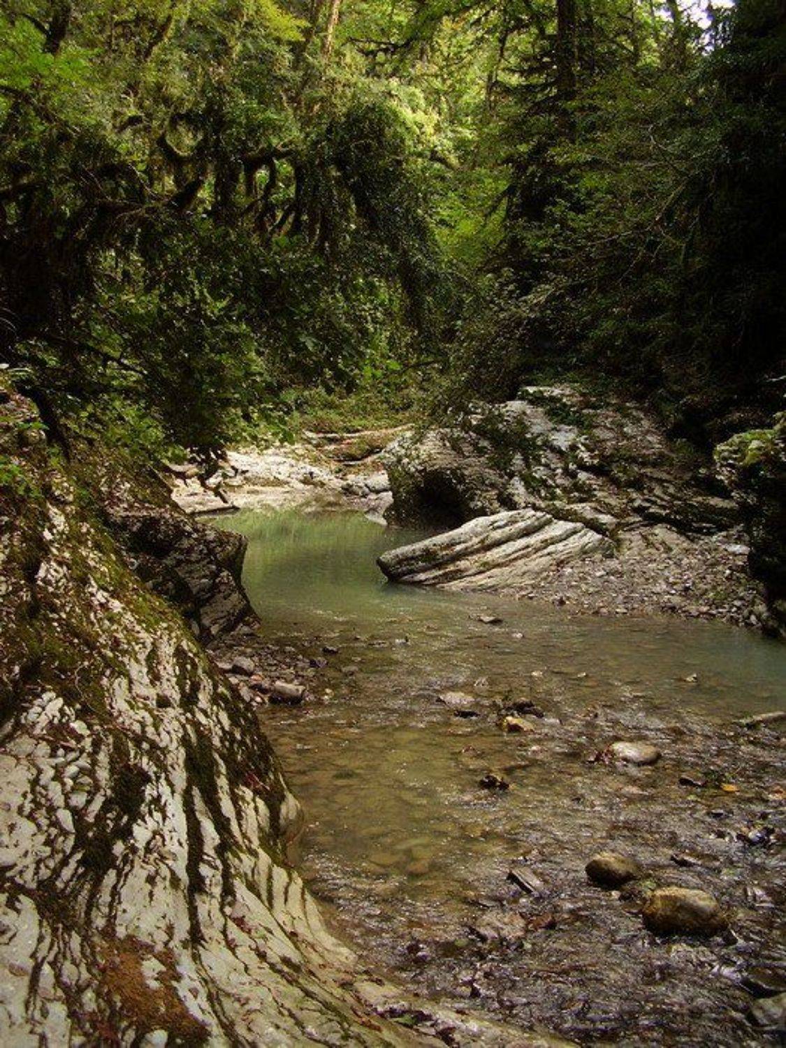 водопад, лес, сочи, каньон псахо, Наталья Герасименко