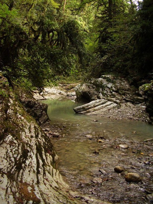 водопад, лес, сочи, каньон псахо Каньон Псахо фото превью