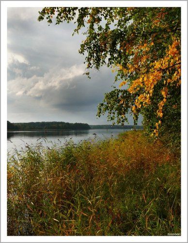 Вот и осень наступила...