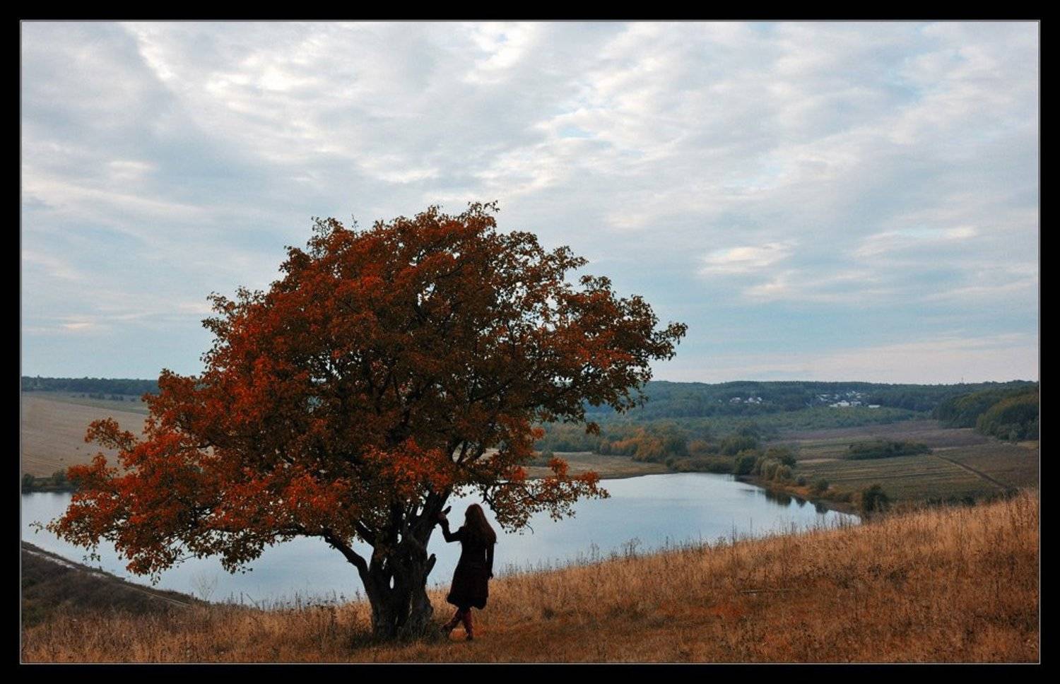 девушка,осеень, цвета, Сергей Дужников