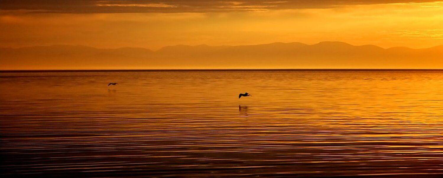 байкал, закат, чайки, Ildar