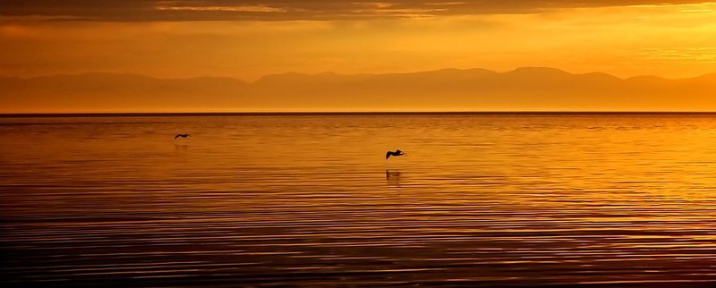 байкал, закат, чайки На бреющем... фото превью