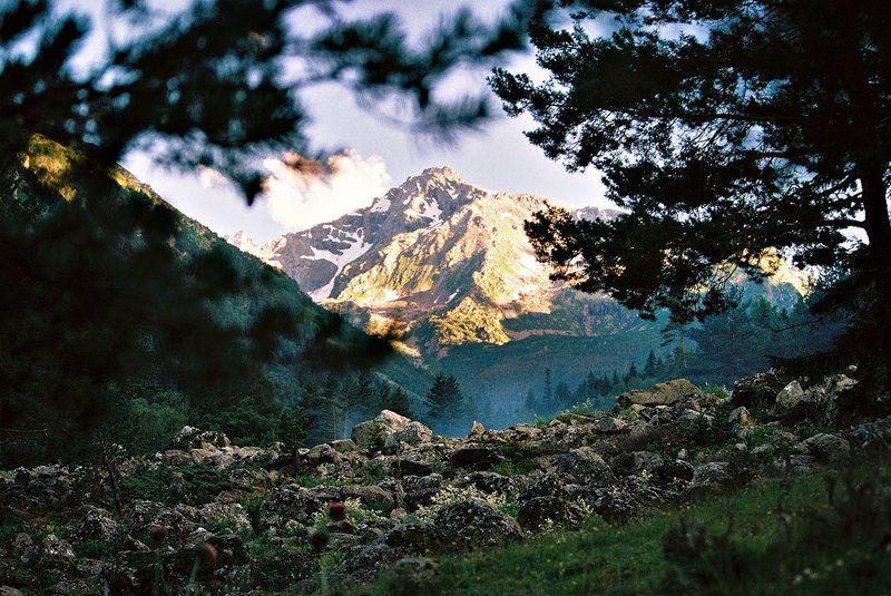 *** фото превью