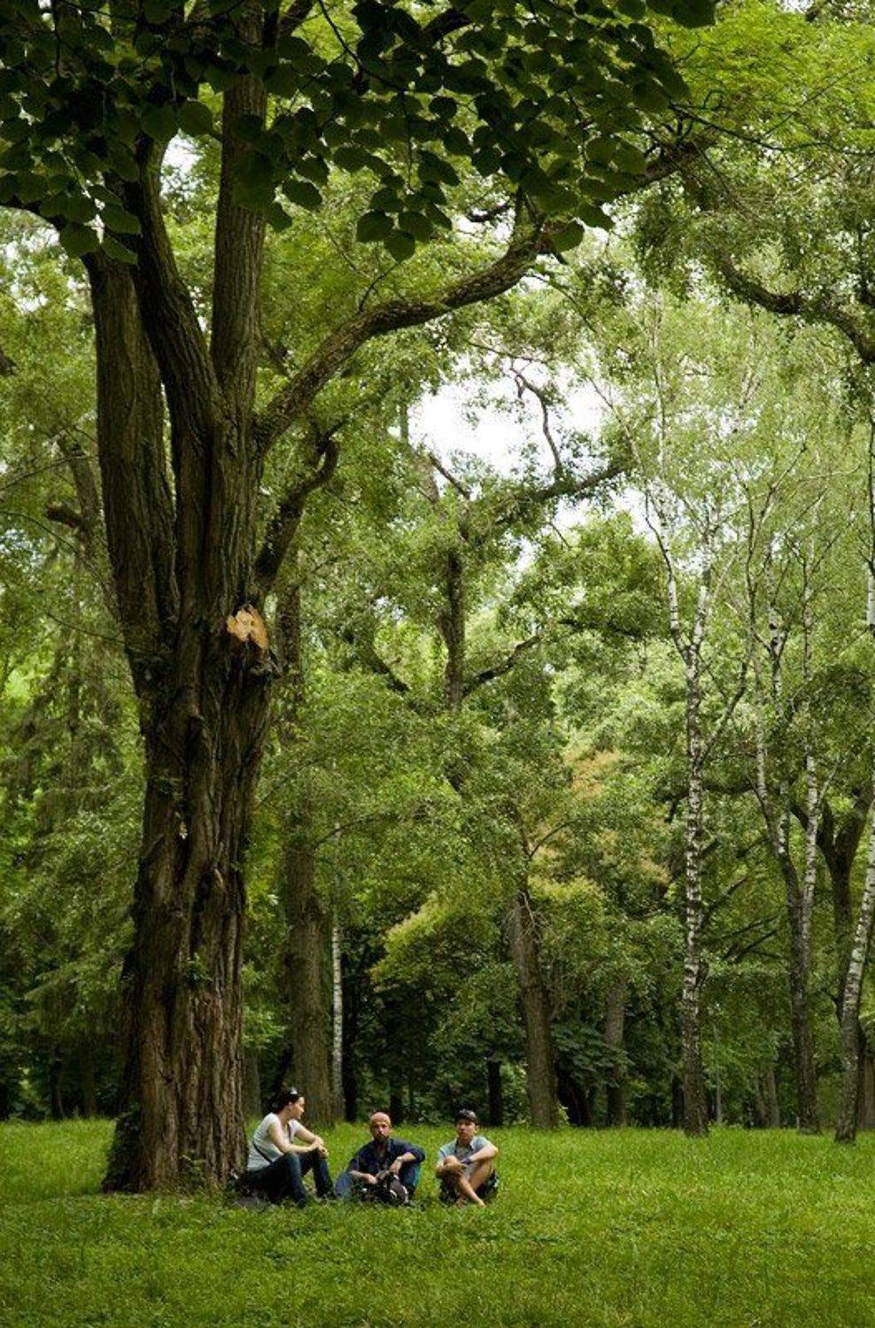 парк, город, чернигов, грибы, Anna Fomicheva [nusha]