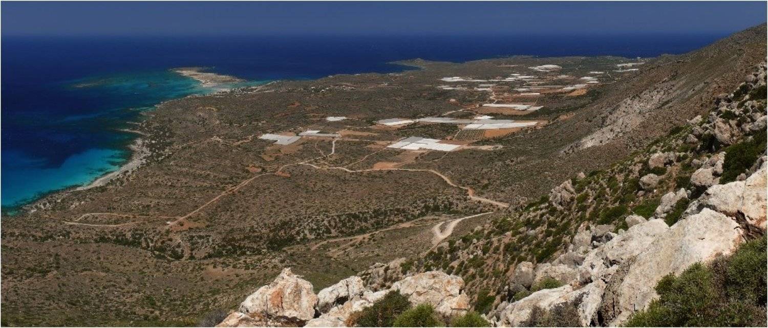 крит, Алексей (zooooom)