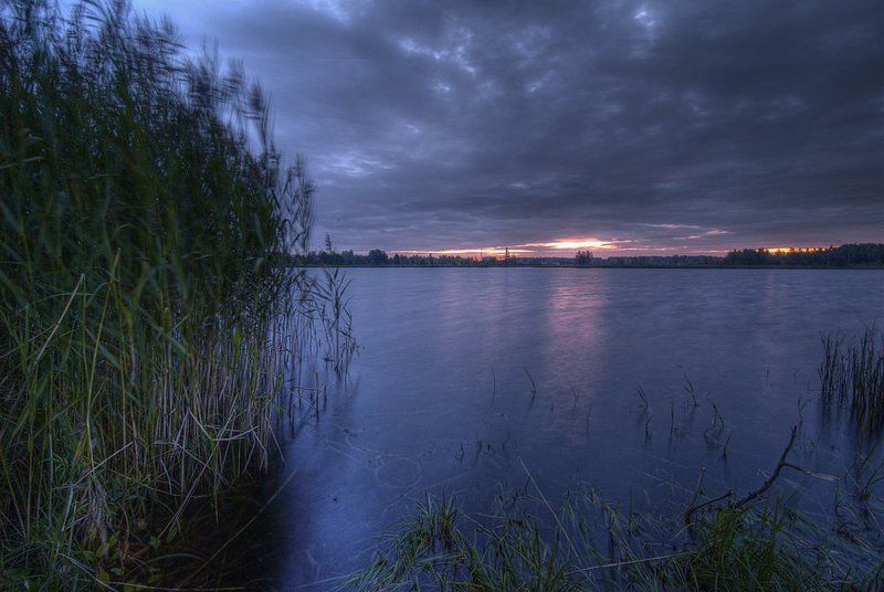Перед заморозками фото превью