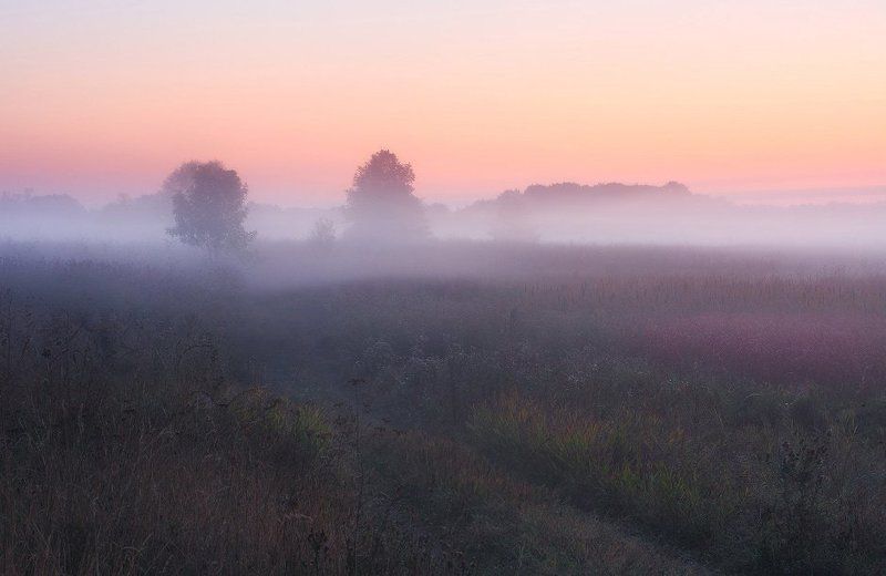 Здесь дышится легко... фото превью