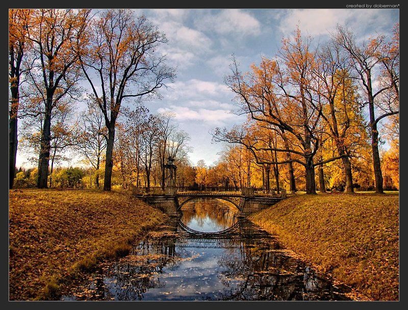 Старый парк фото превью