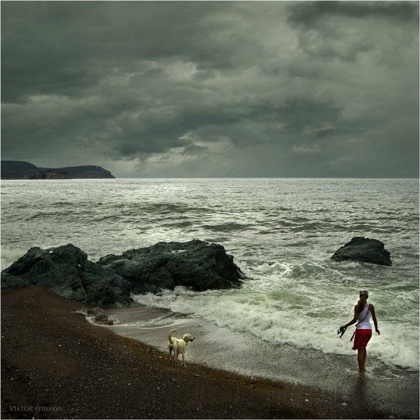 черногория,море, волны,девушка,собака, Виктор Перякин