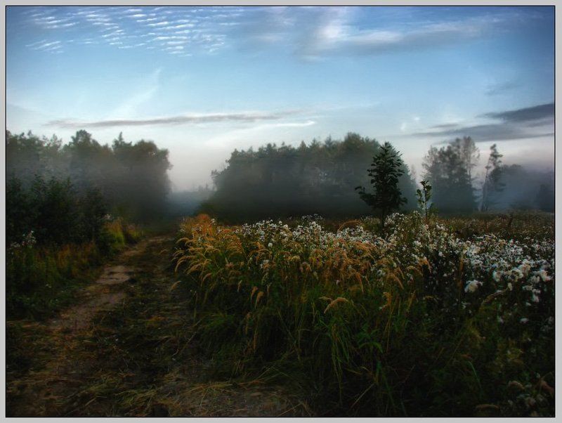 с, добрым, утром, !!!  фото превью