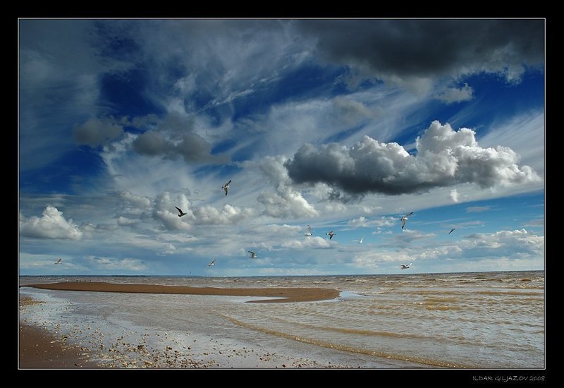кама, чайки, река *** фото превью