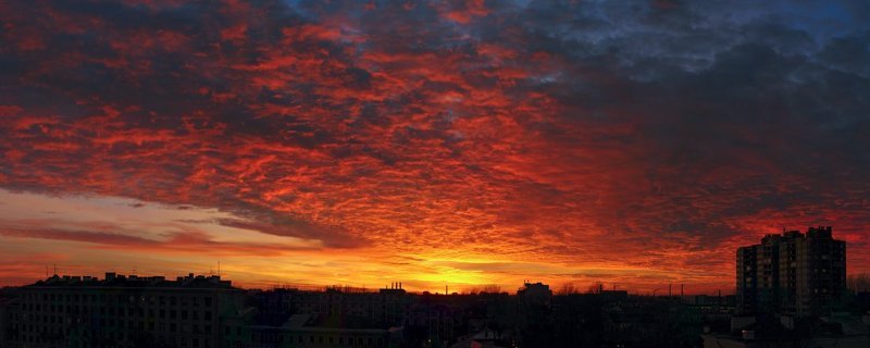 Обратная тяга фото превью