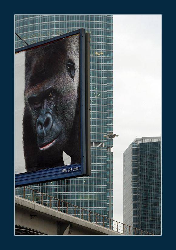 город,сити,москва,реклама, кулешов, Кулешов Евгений