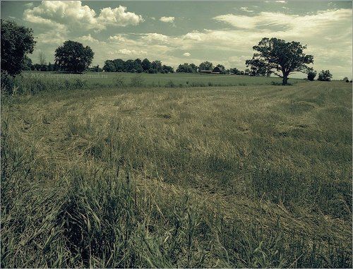 Midwest... harvest....