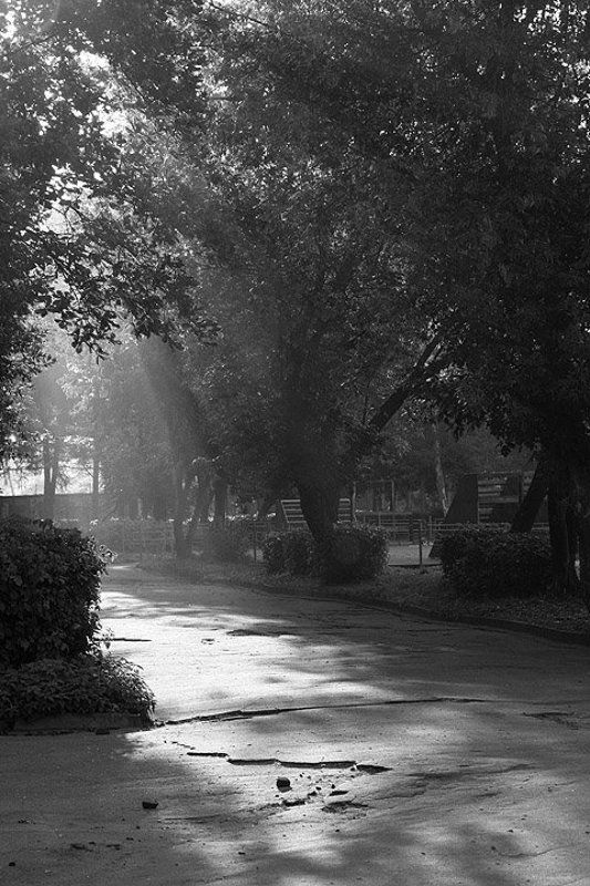 осеннее утро, рыбинск Осеннее утро фото превью