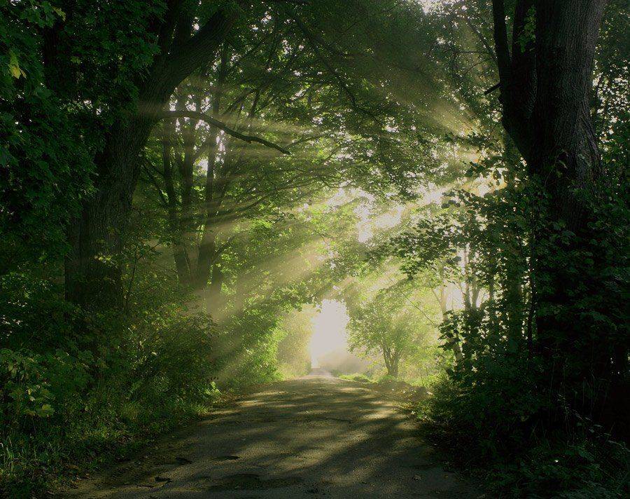 , Павел Дунюшкин