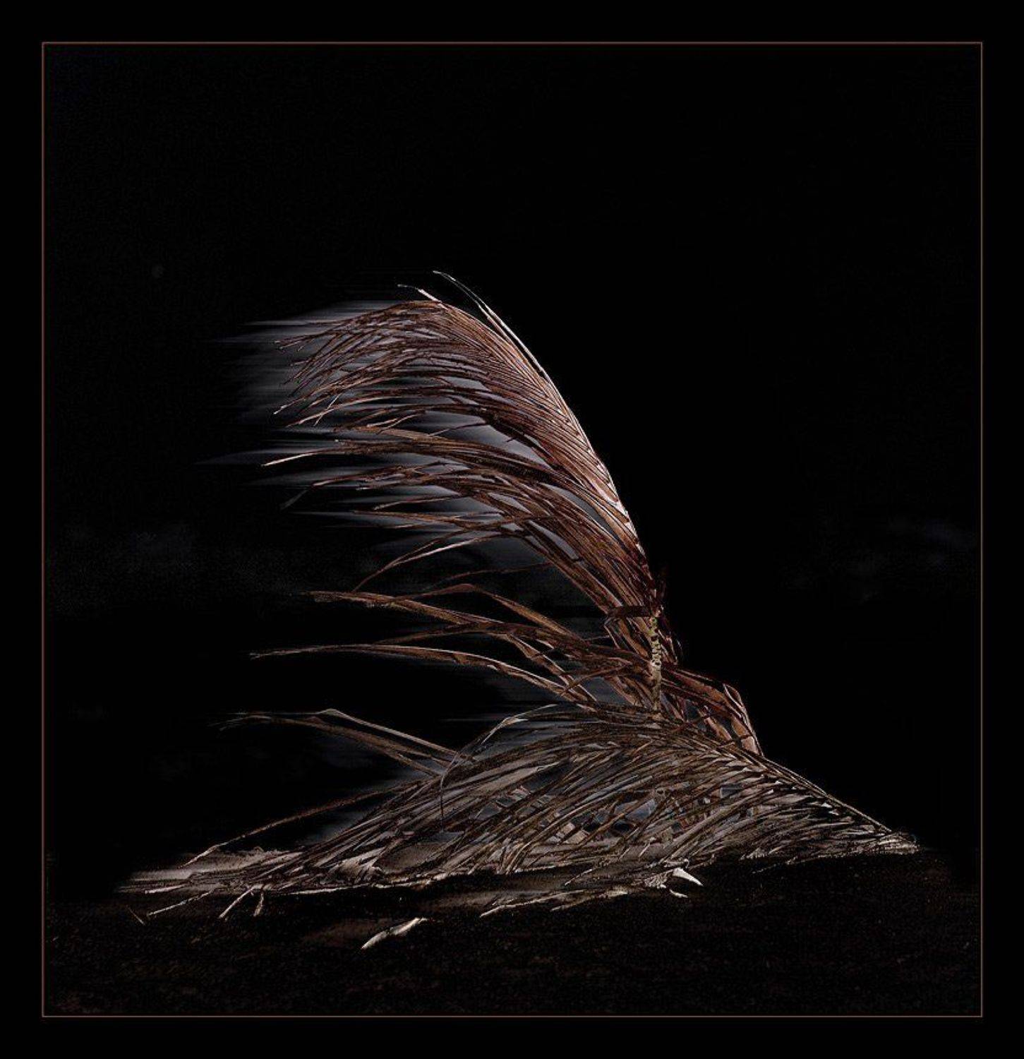 , Сергей Милицкий