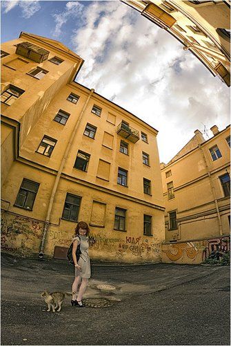 Кошки-мышки