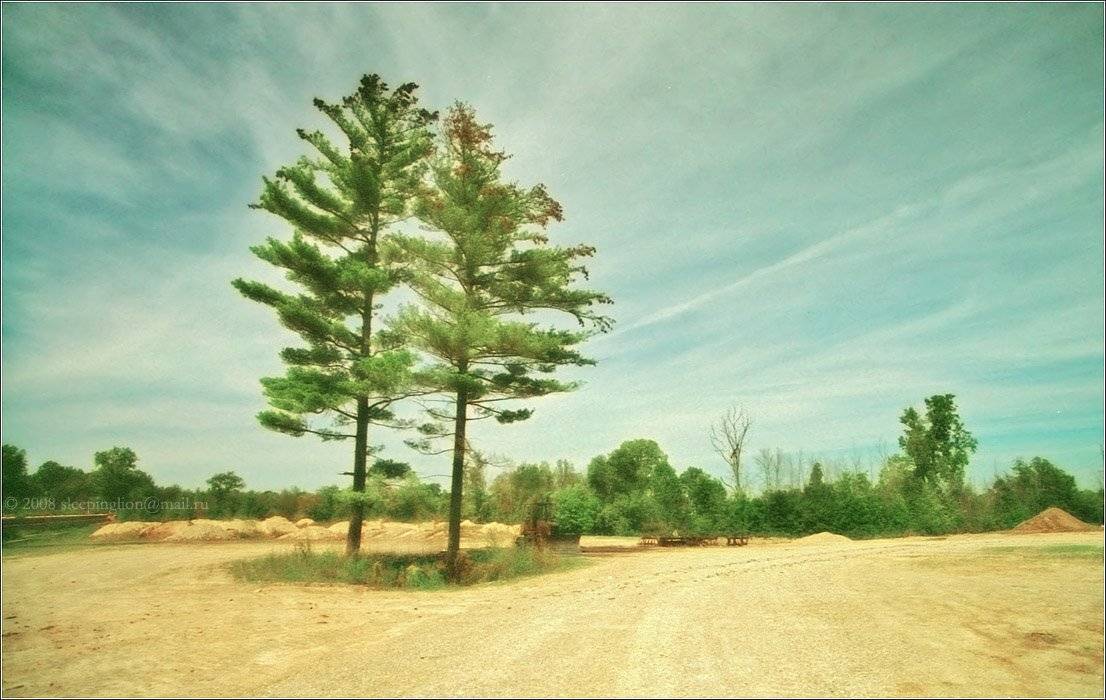 пейзаж, pilgrim, пленка, 35 мм, canon eos-1, konica centuria 200, tamron 19-35mm, Pilgrim