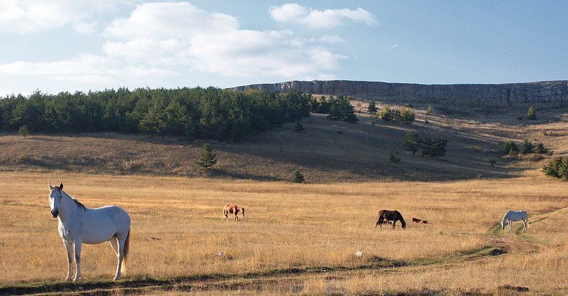 Плато Ай - Петри фото превью