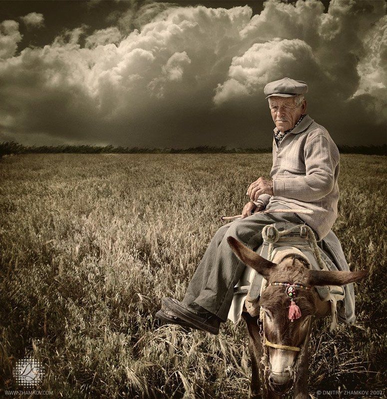 Такая жизнь