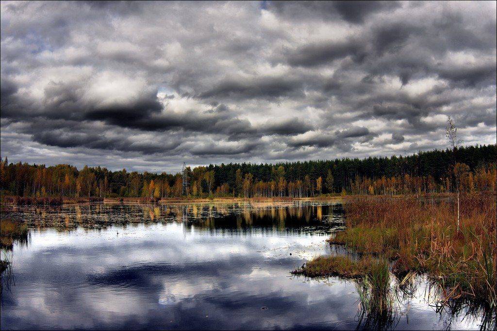Щепкино болото. Автор: Андрей Кузьмин , Андрей Кузьмин