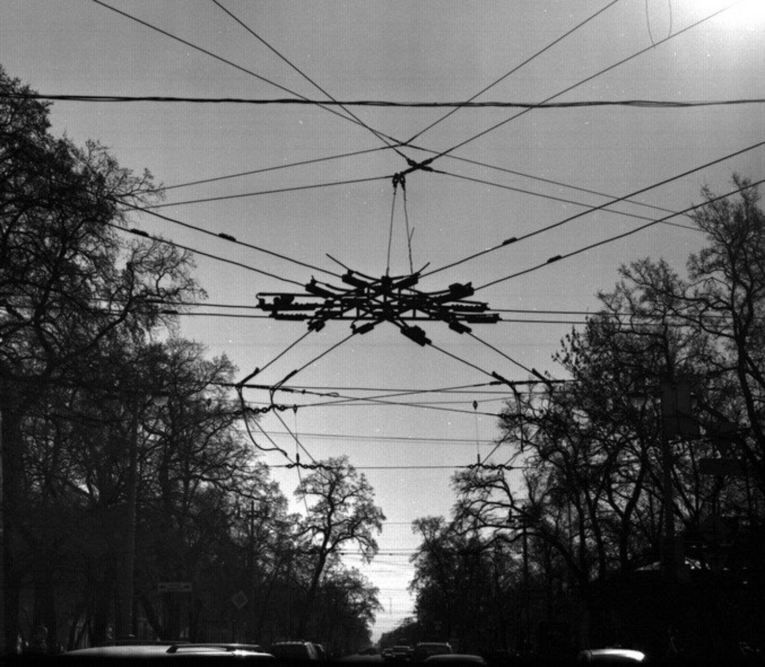 большой проспект, васильевский остров, Dmitry Vasiliev