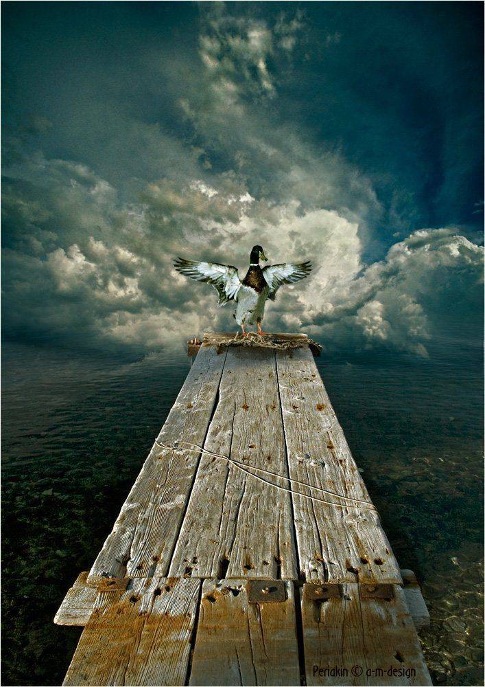 гадкий, утёнок, Виктор Перякин