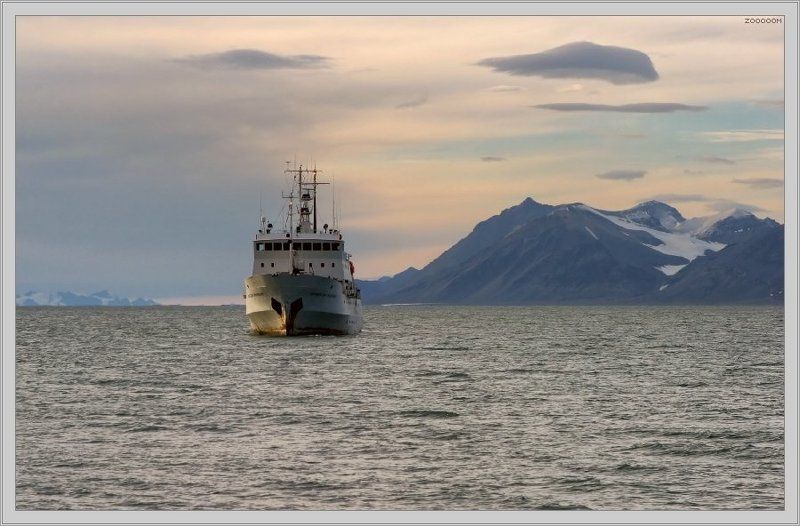 арктика,шпицберген,корабль Исследователь Арктики фото превью