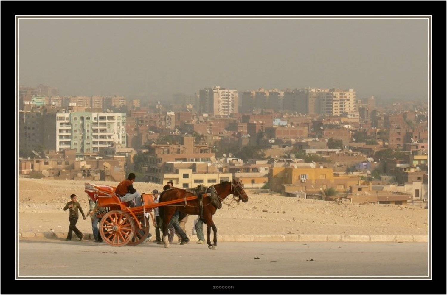 египет,гиза, Алексей (zooooom)