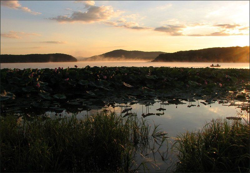 одно утро августа фото превью