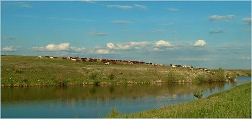 Летняя благодать