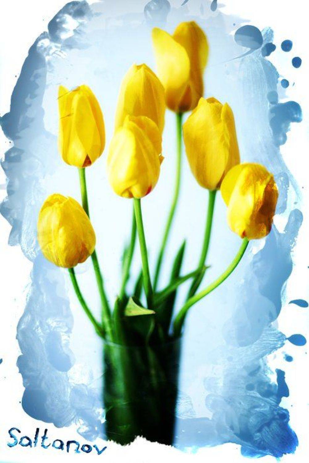 , Антон Салтанов