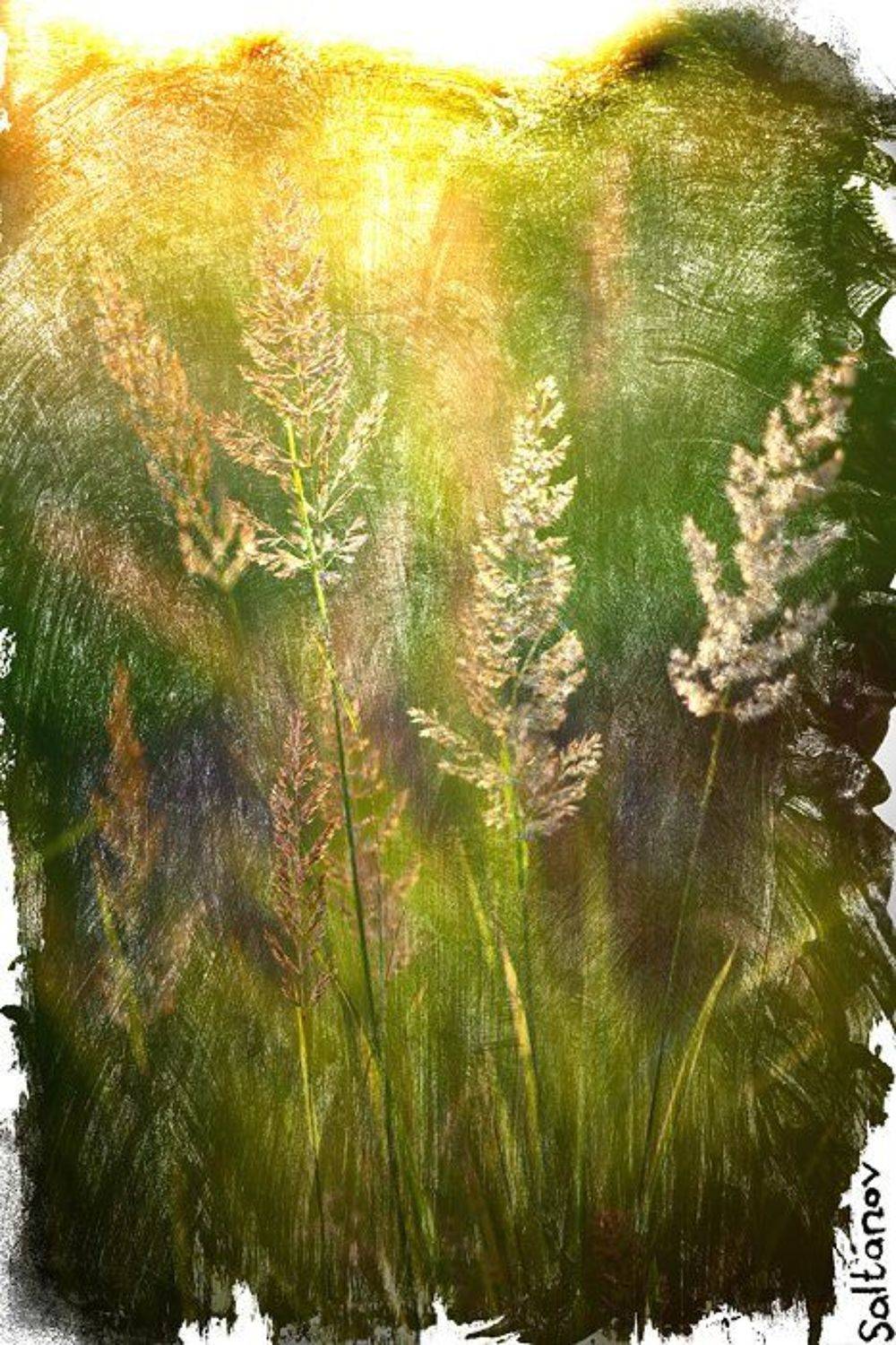 , Антон Салтанов