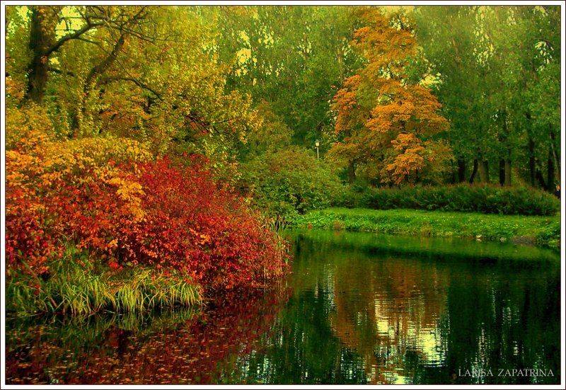 , Лариса Запатрина